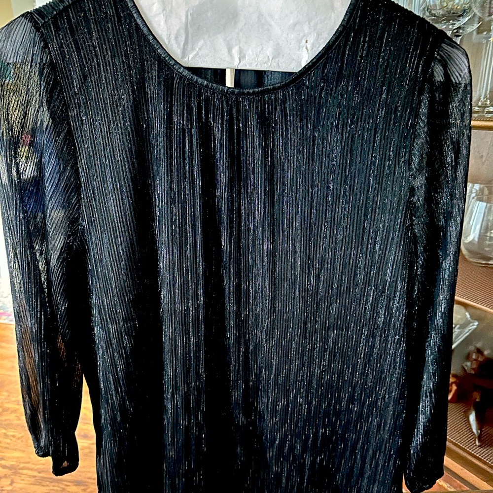 NWOT 3 for $20 ANN TAYLOR BLACK SHINY BLOUSE WITH SEE THROUGH SLEEVES SZ LG